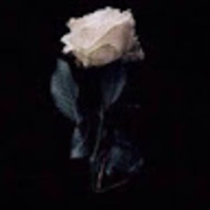 Meet your Posher, Klutzvlogs